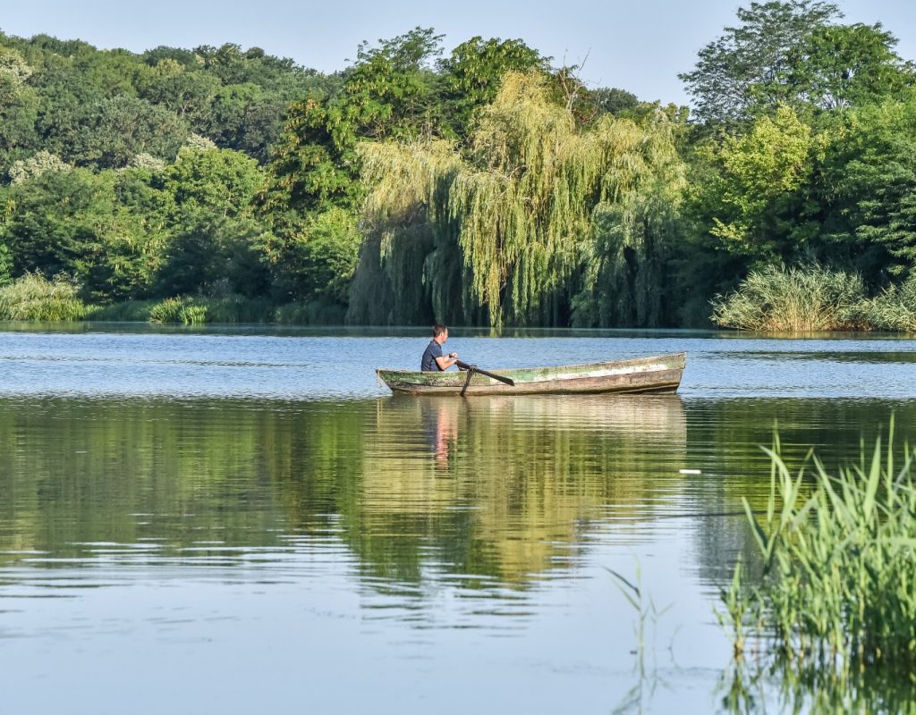 WhatsApp Image 2023-07-17 at 16.02.04